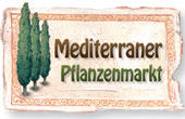 Online Shop f&uuml;r mediterrane Pflanzen